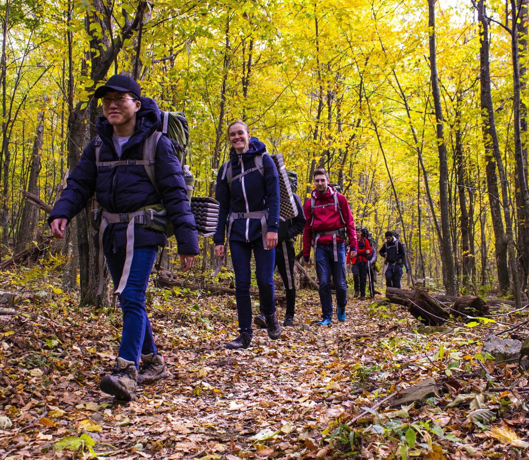 A group of trekkers