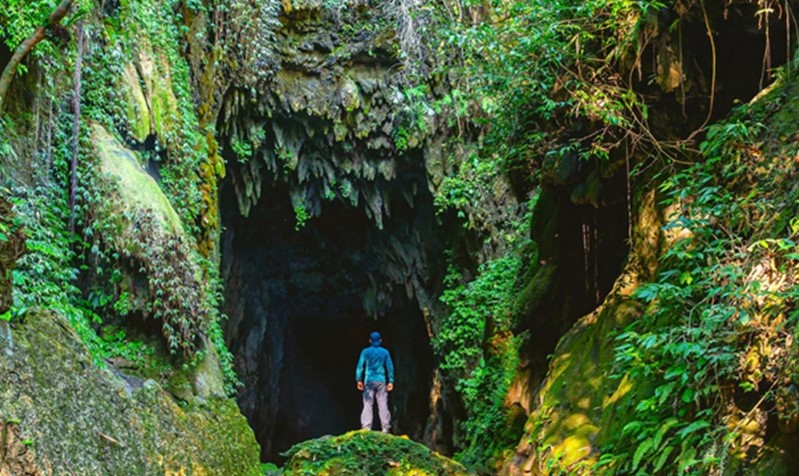 Best Meghalaya Tour Package by Trippin